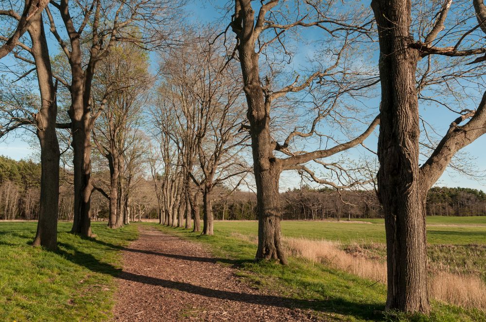 View of the Appleton Farm in Ipswich and Hamilton, Massachusetts