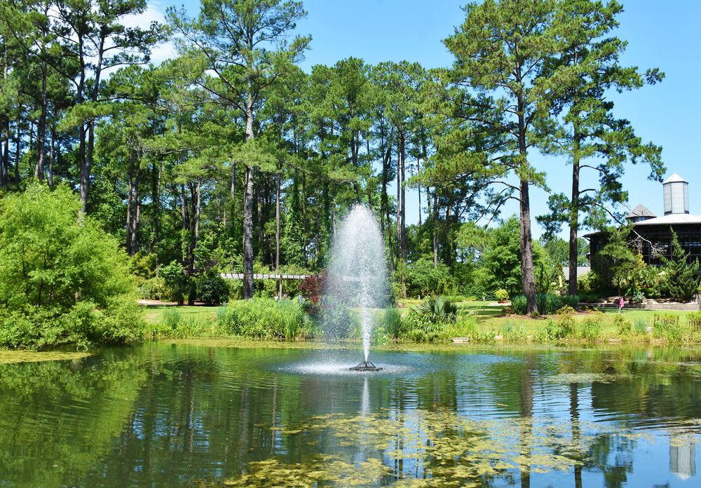 Water fountain on a pond at Cape Fear Botanical Garden