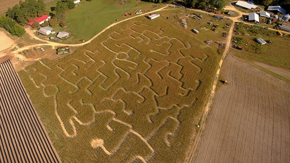 Aerial view of Gillis Hill Farm's corn maze