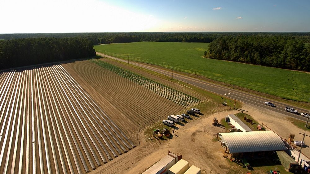 Aerial view of Gillis Hill Farm