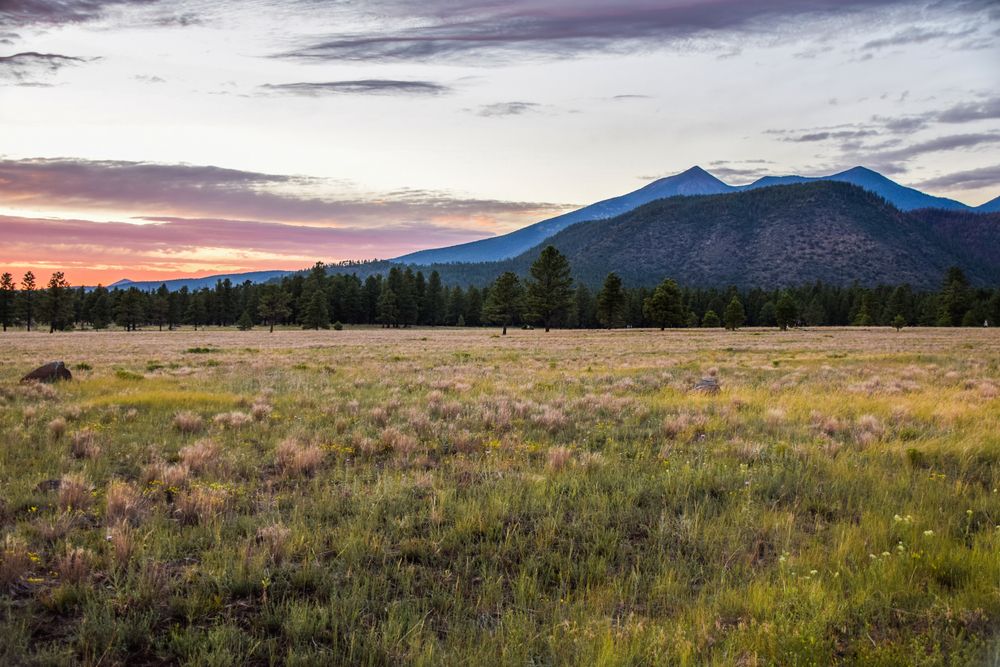 Landscape of Buffalo Park