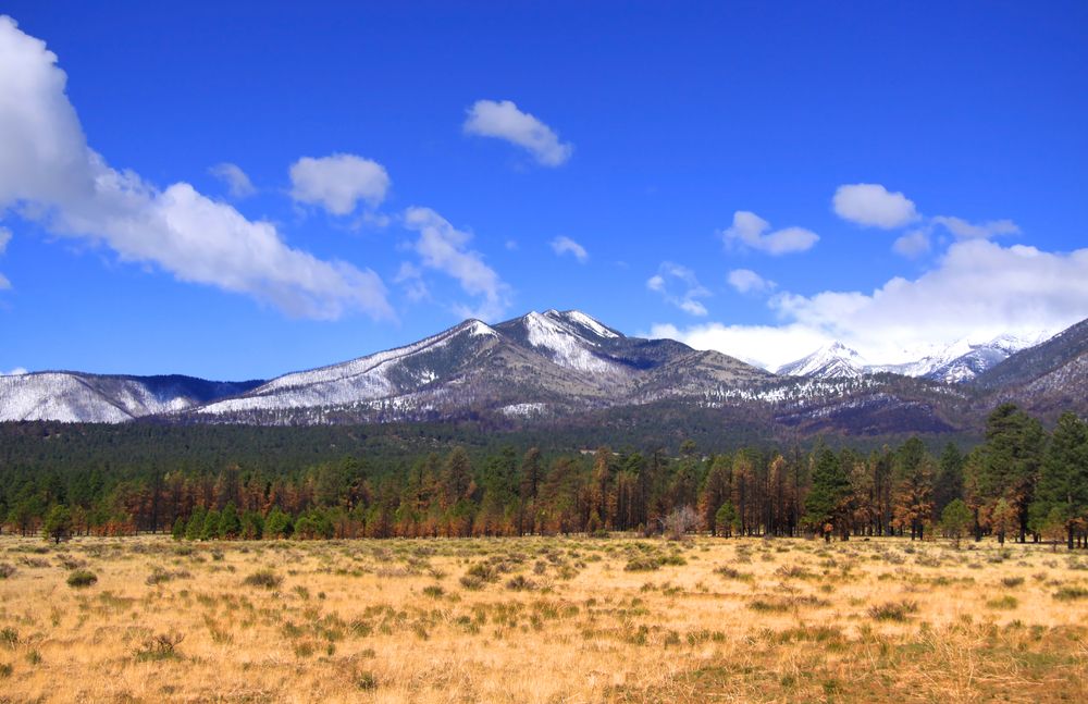 Scenic view of Humphreys Peak