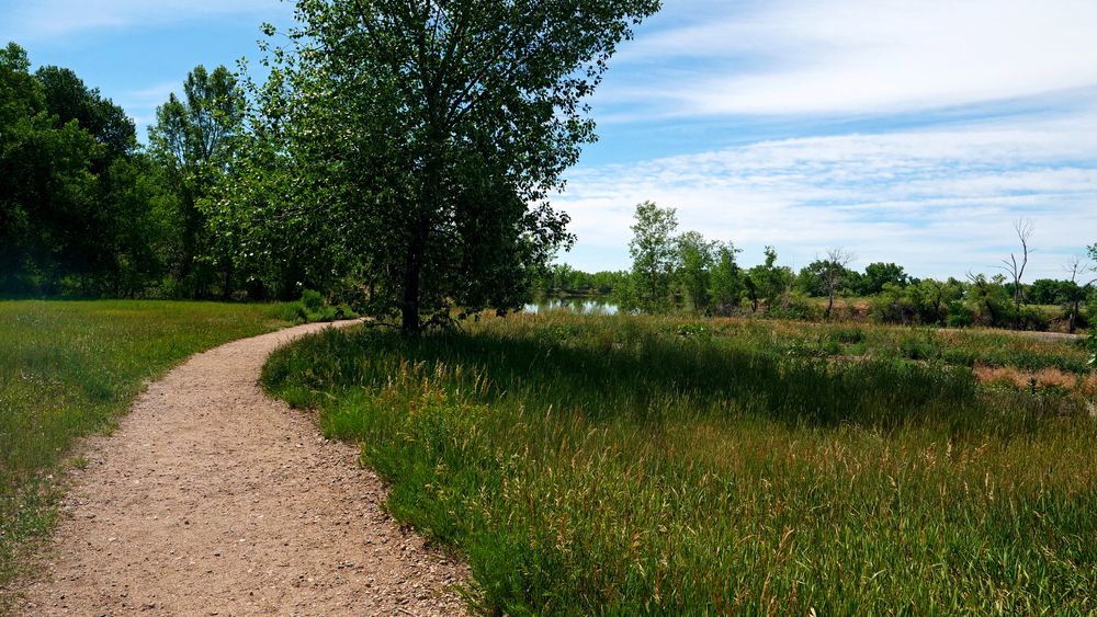 A trail at Arapaho Bend Natural Area