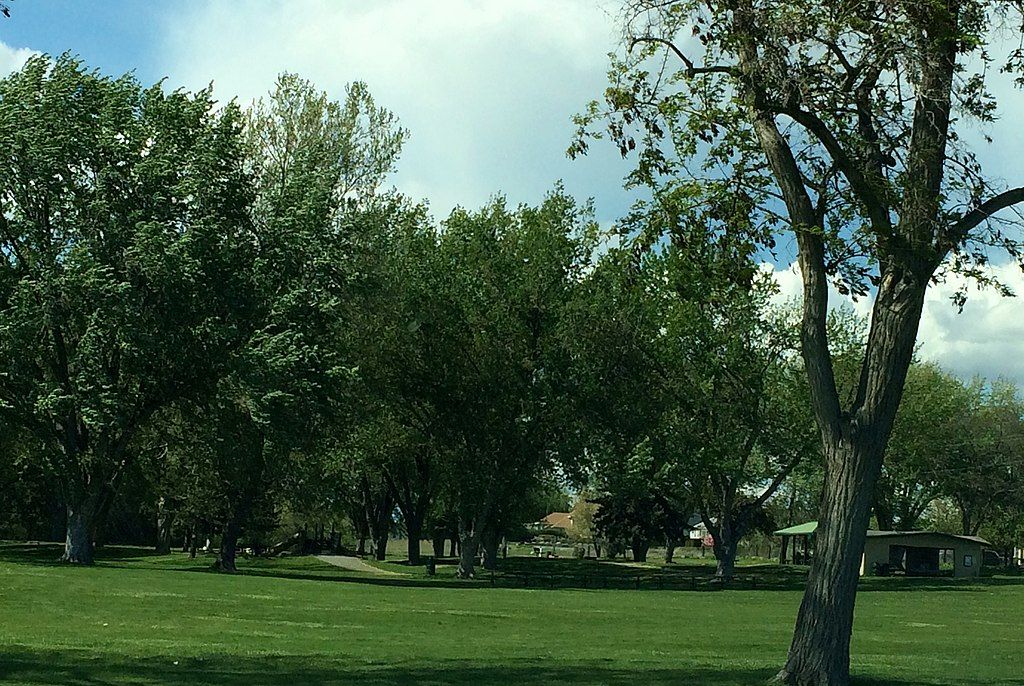 The grounds of Chiawana Park