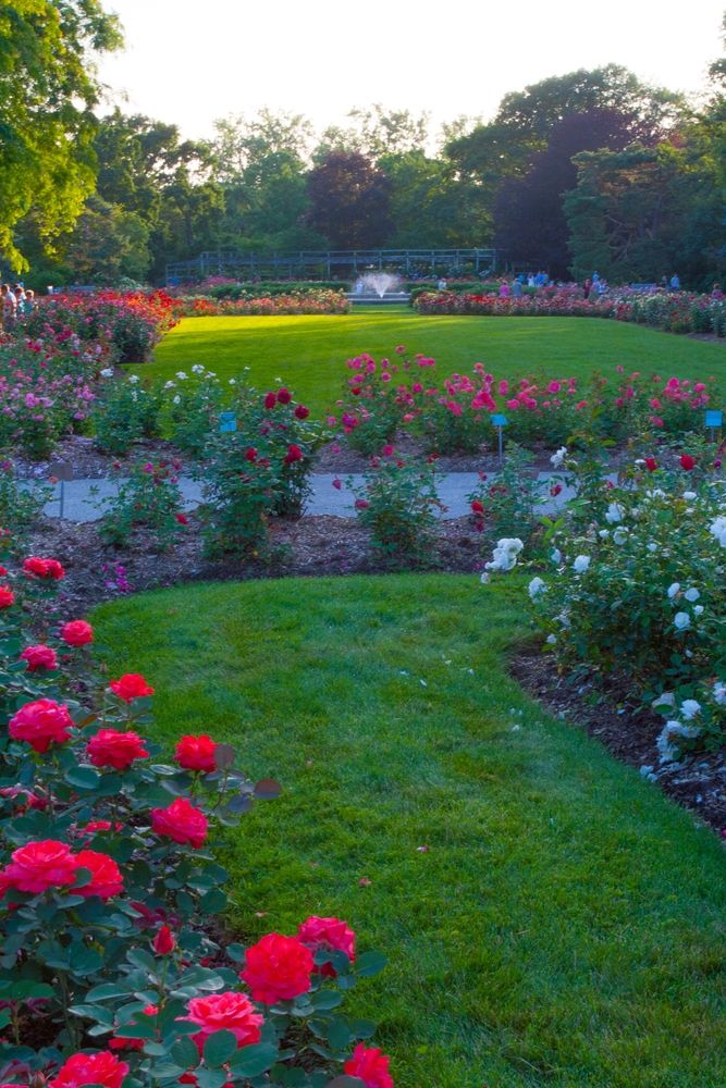 The grounds of Columbus Park of Roses
