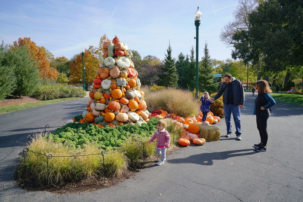 Colorful pumpkins at Franklin Park Conservatory and Botanical Gardens