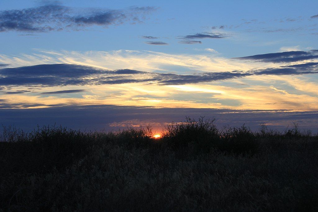View of the sunset from Juniper Dunes Wilderness
