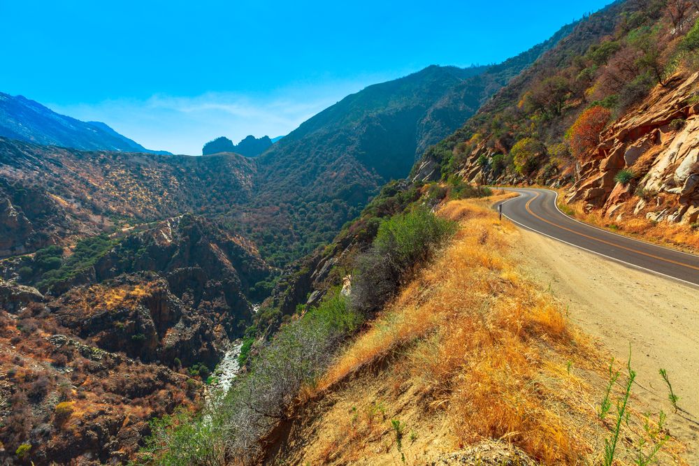 Road at Kings Canyon National Park
