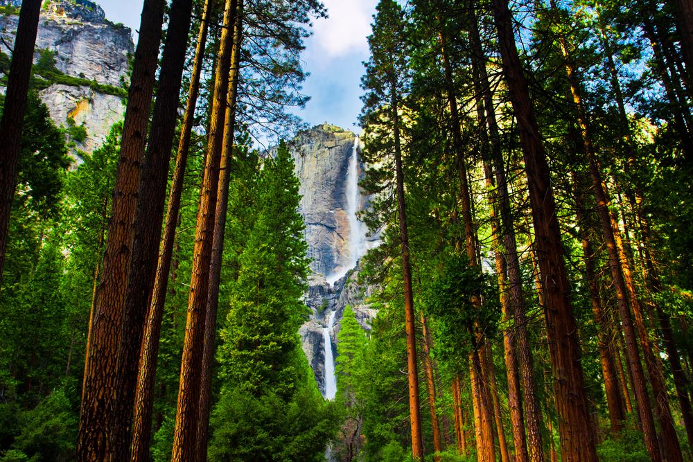 Gorgeous waterfalls at Yosemite National Park