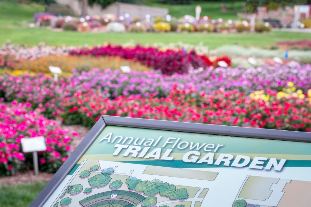Information board of Annual Flower Trial Gardens