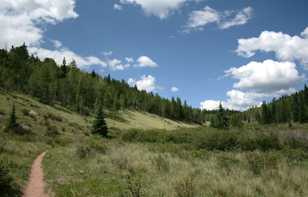 Landscape of Horsethief Falls Trail