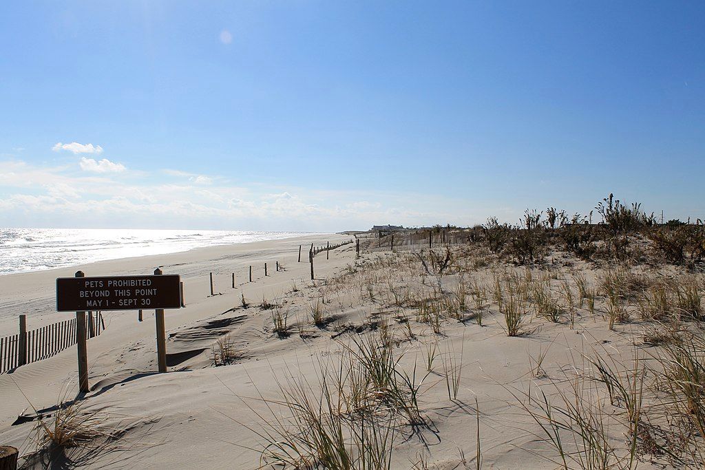 Clean white sands, body of water, and a sign at fenwick island state park.