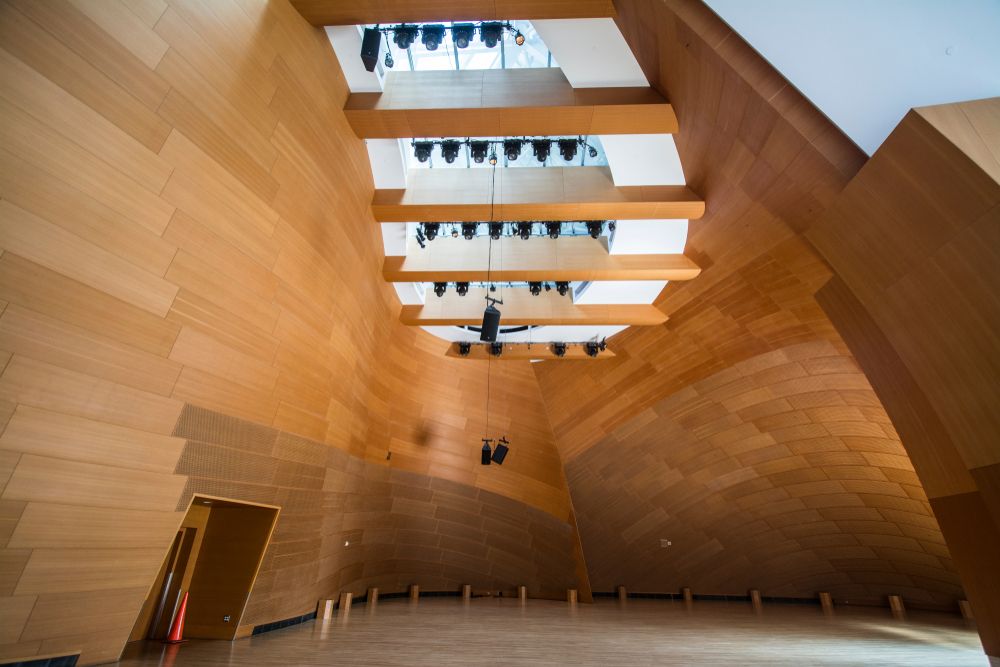 Part of the Walt Disney Concert Hall's interior