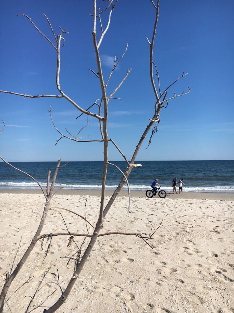 People at Robert Moses State Park