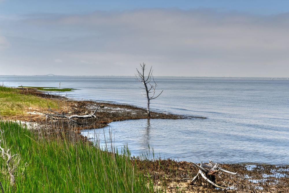 View of the waters from Sunken Forest