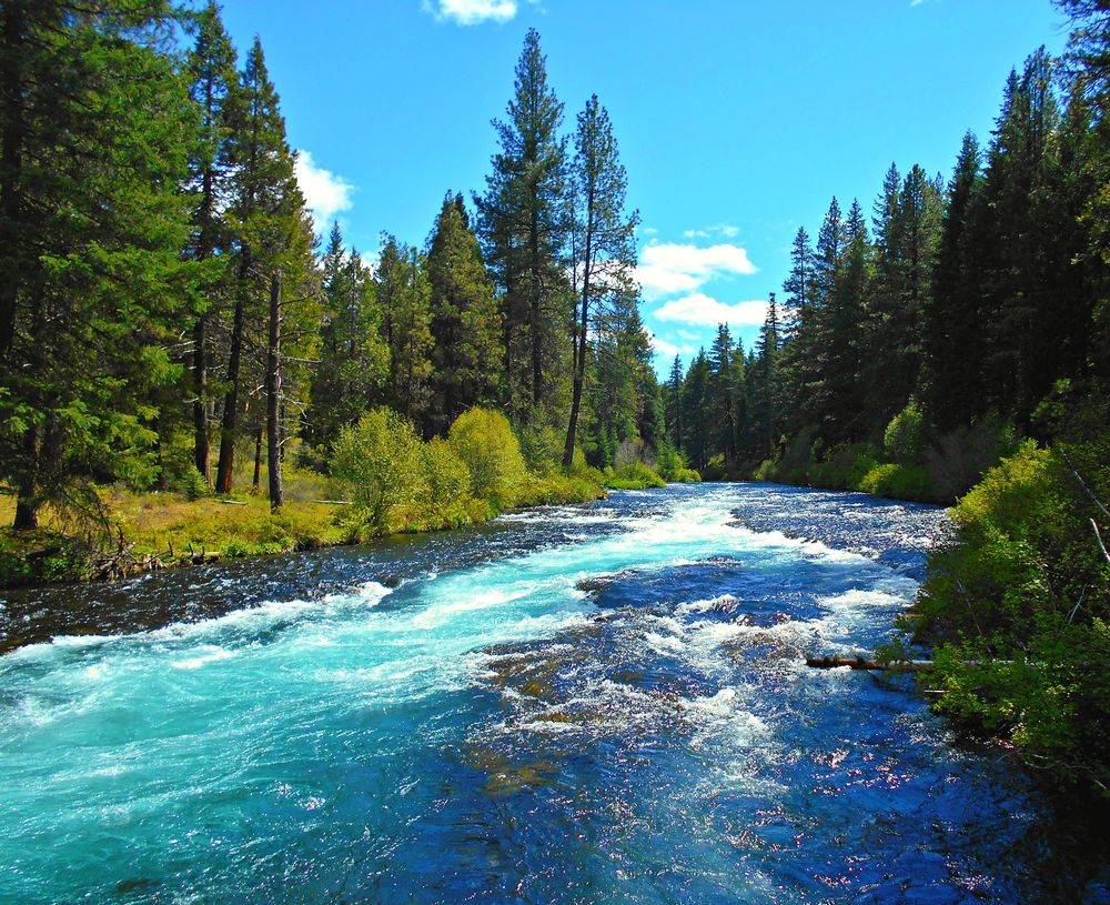 View of Wizard Falls Fish Hatchery