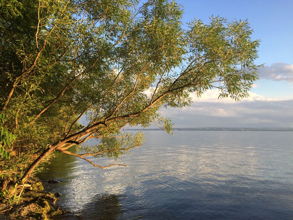 Seneca lake at Sampson State Park