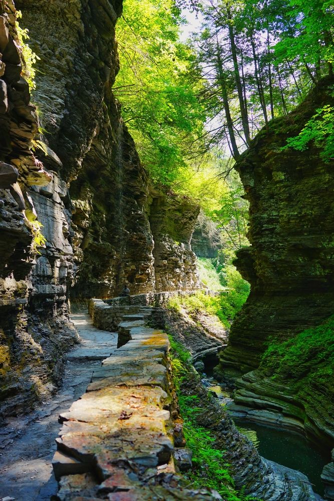 Cliffside trail at Watkins Glen State Park