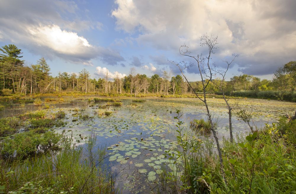 View of Canoe Meadows Wildlife Sanctuary