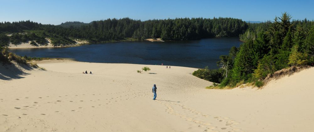 Scenic day time view of Jessie M. Honeyman Memorial State Park