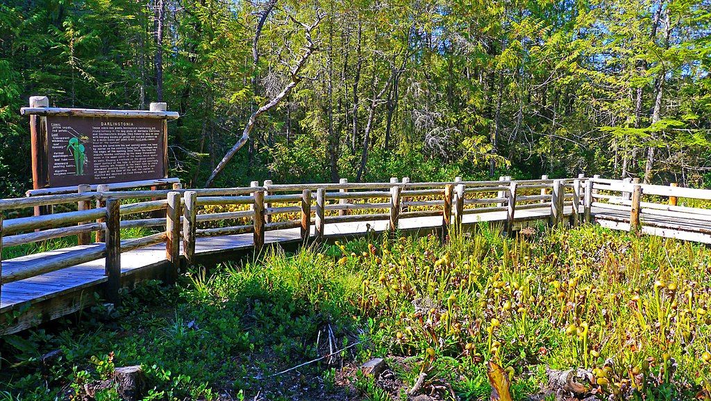 A sign post and landscapes of Darlingtonia State Natural Site