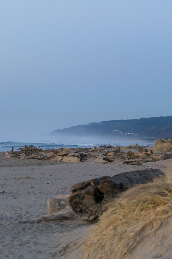 Scenic view of north jetty's waves