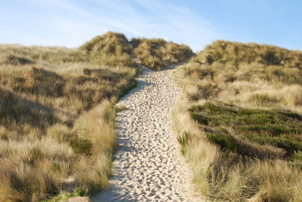 San trail leading to south jetty beach