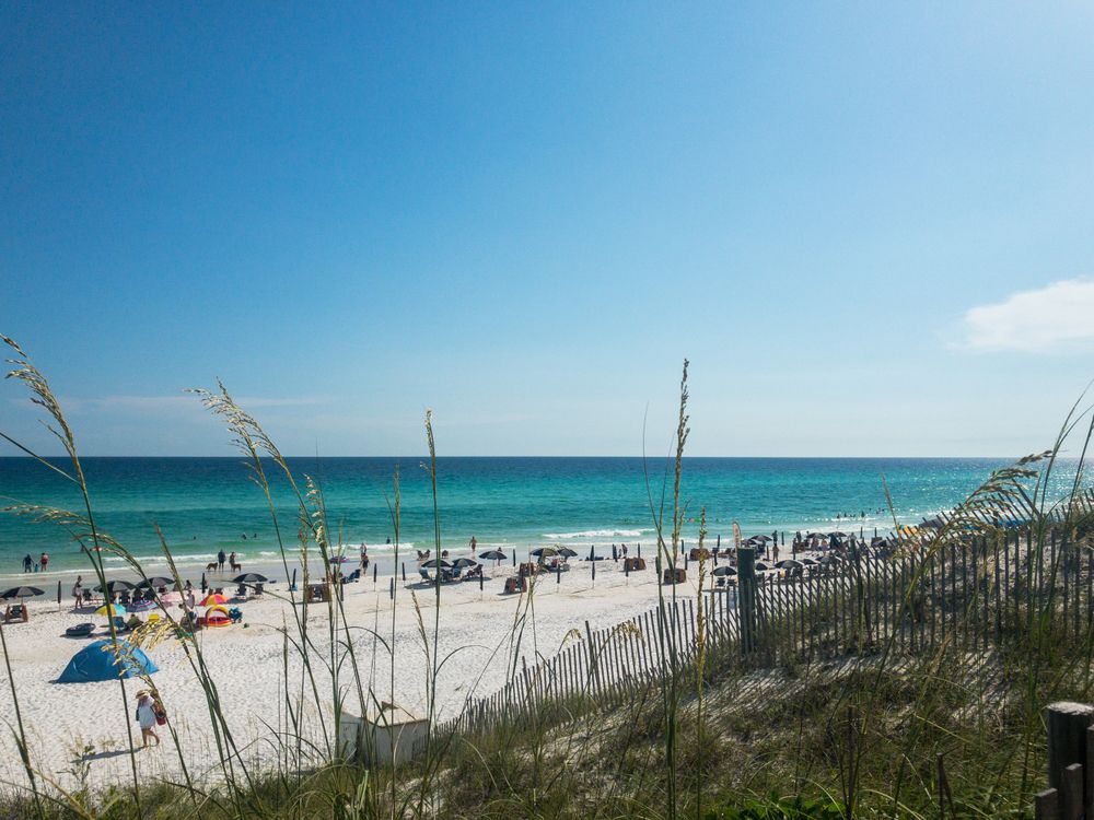 Beachgoers at Blue Mountain Beach