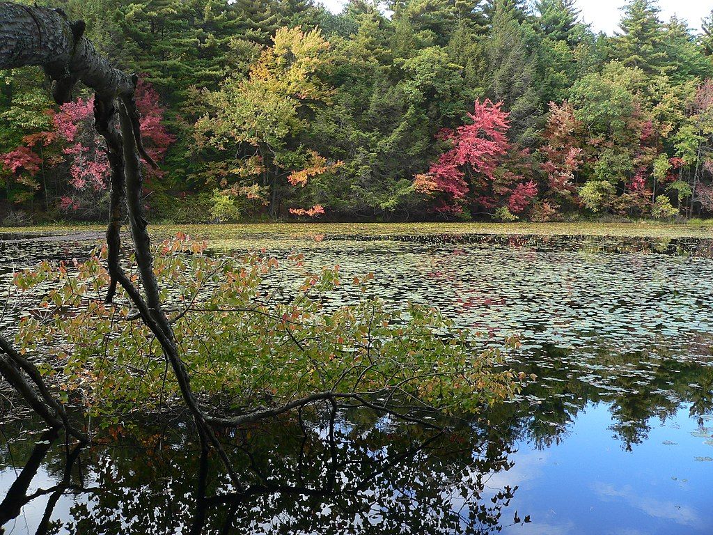 The waters of Callahan State Park