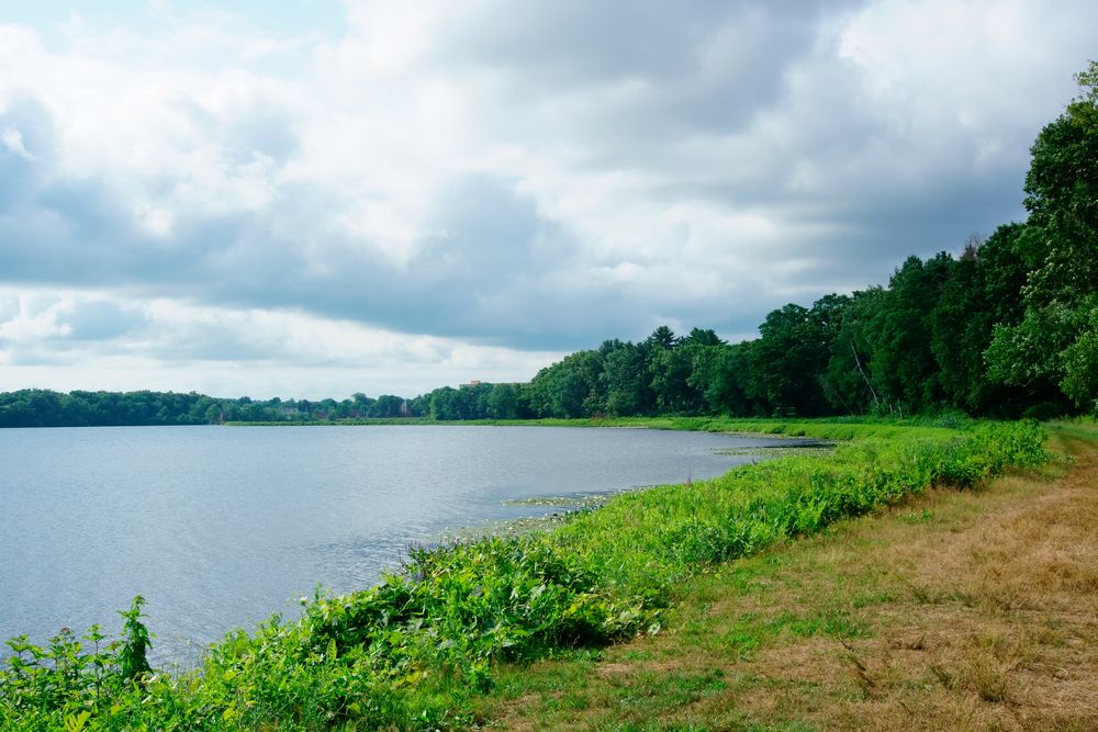 The waters of Farm Pond Park
