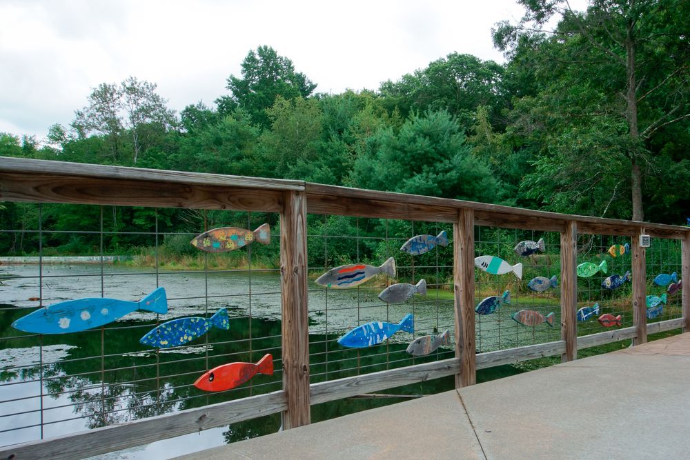Bridge designed with wooden fish at Franklin Sculpture Park