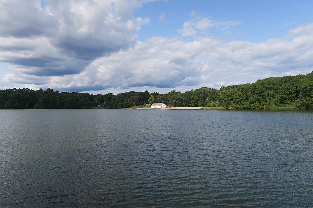 The waters of Learned Pond