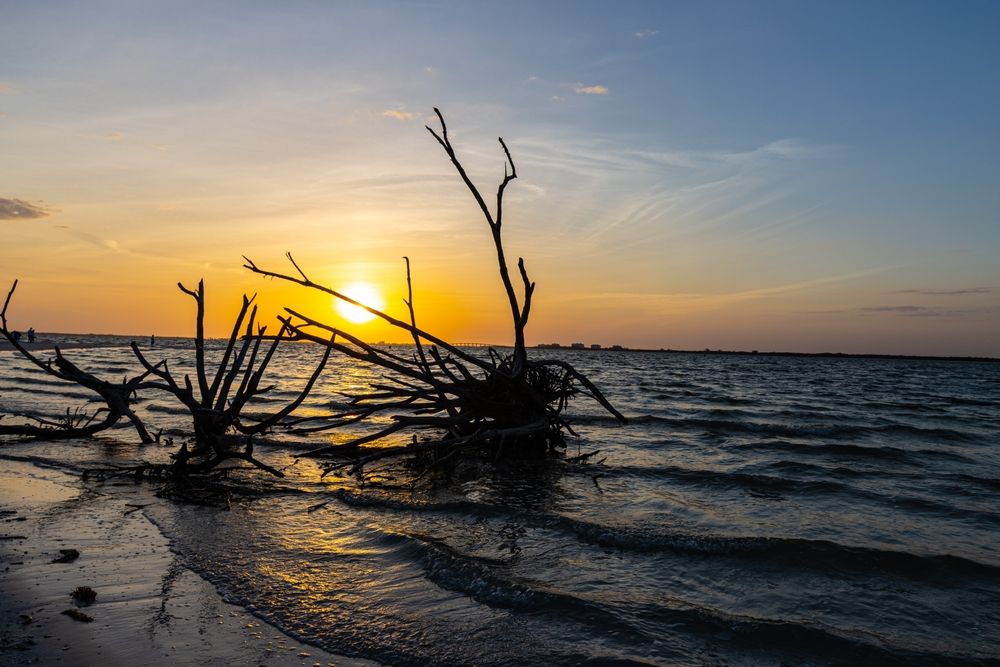 Sunset view from Bowditch Point Park