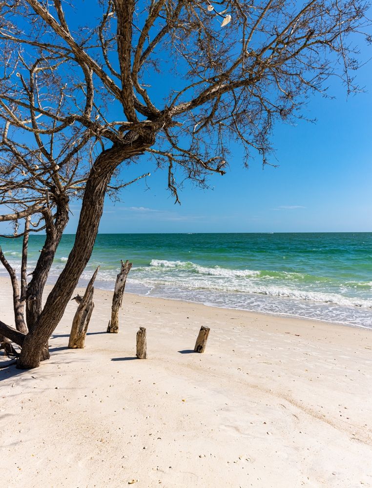 Sunny day at Lovers Key State Park
