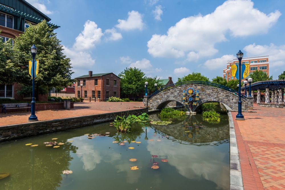 The waters of Carroll Creek Park