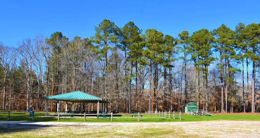 Daytime view of Arnette Park