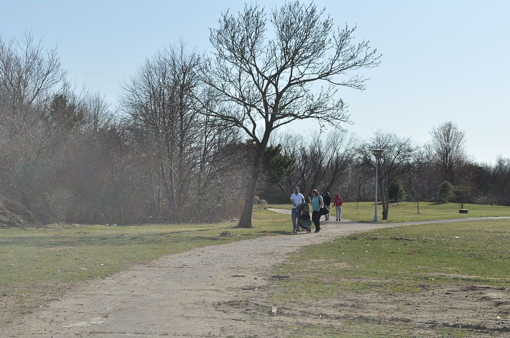 Trail at Cow Meadow Park