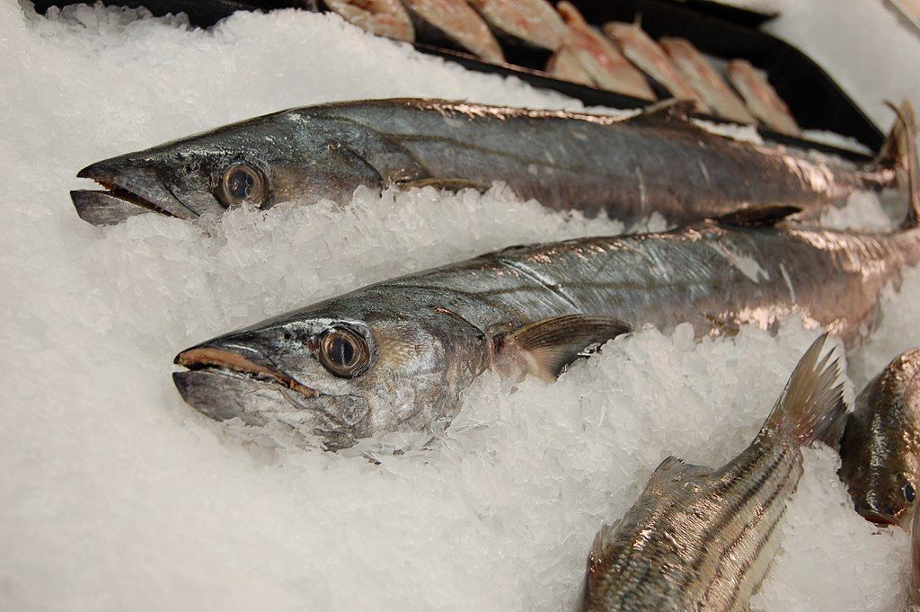 Fresh fish for sale in Jungle Jim's International Market