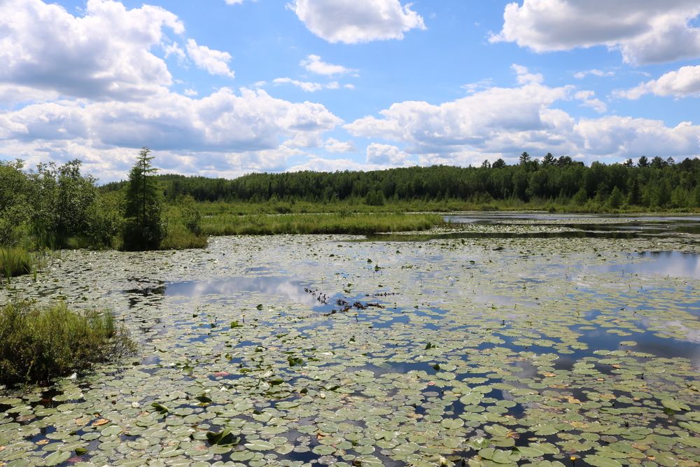 View of Bearskin State Trail