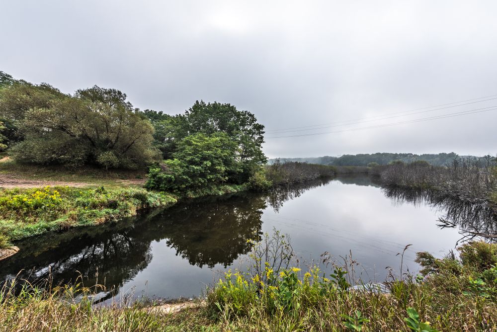 View of Manistee River