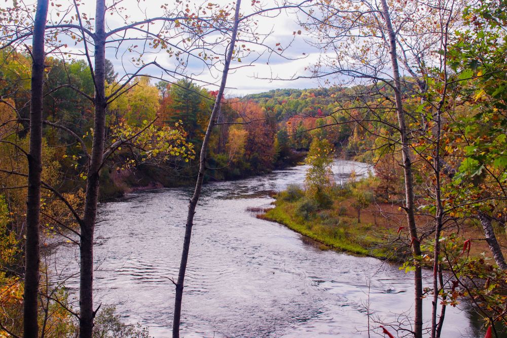 View of Manistee River