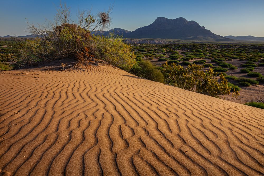 View of Hot Well Dunes