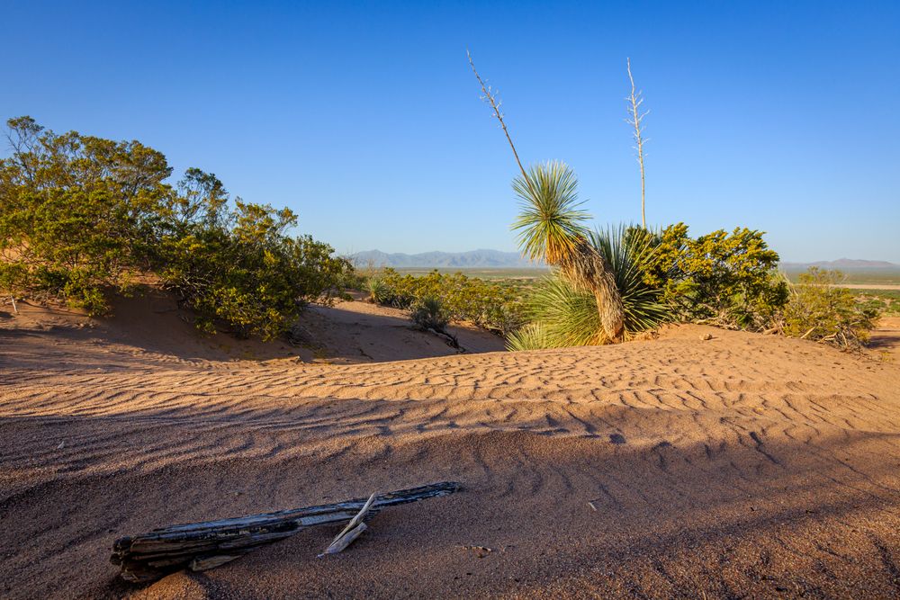 View of Hot Well Dunes