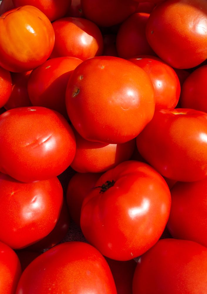 Ripe tomatoes for sale at Downtown Fort Pierce Farmers' Market
