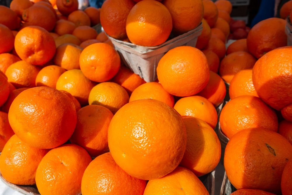 Oranges for sale at Downtown Fort Pierce Farmers' Market