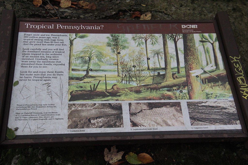 History board at Ohiopyle State Park