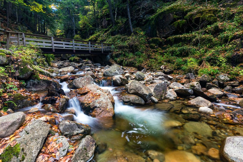 Clear waters on a stream inside the Franconia Notch State Park.