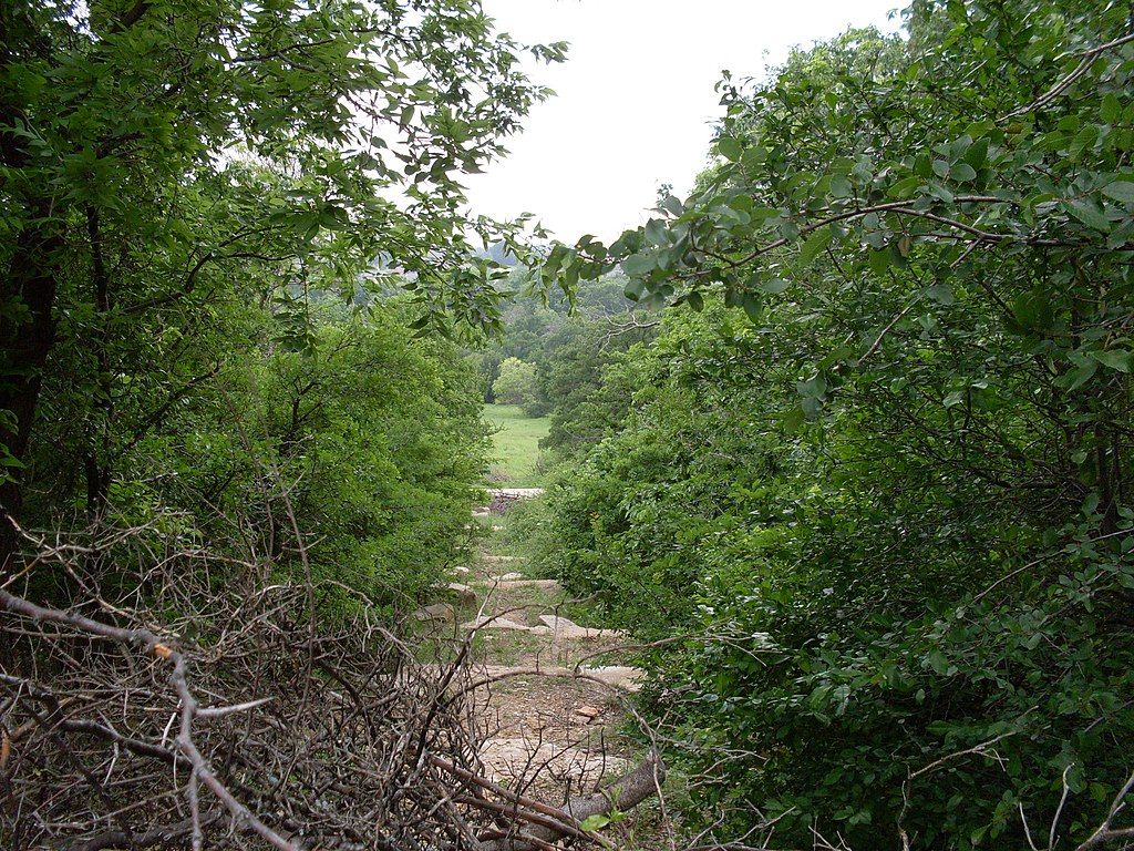 Nature trail at Arbor Hills Nature Preserve