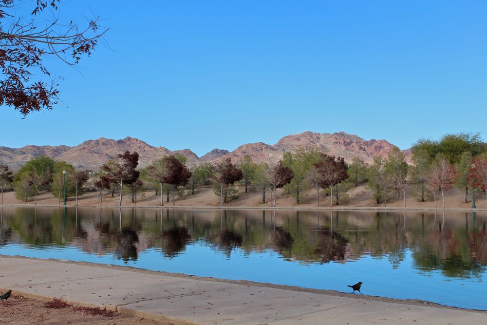 The waters of Veterans' Memorial Park