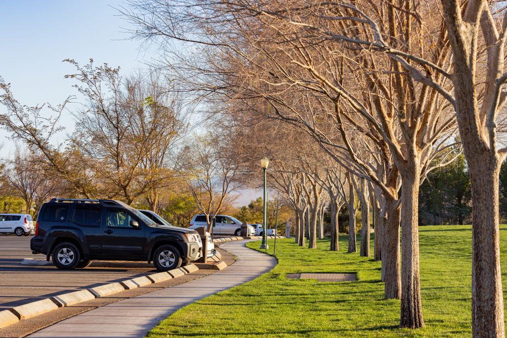 Trees along Veterans' Memorial Park